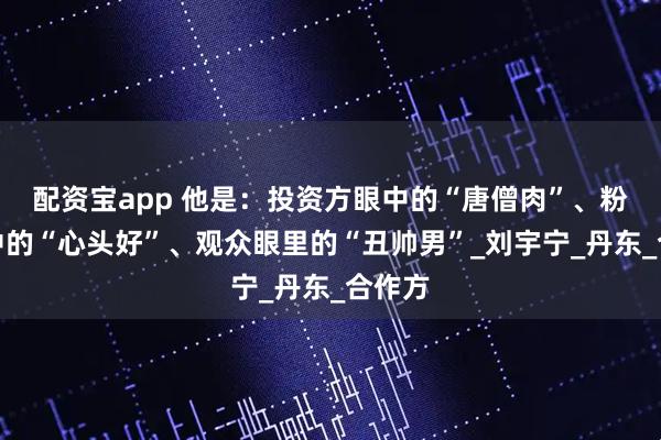 配资宝app 他是：投资方眼中的“唐僧肉”、粉丝心中的“心头好”、观众眼里的“丑帅男”_刘宇宁_丹东_合作方