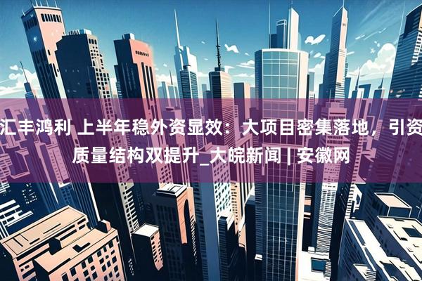 汇丰鸿利 上半年稳外资显效：大项目密集落地，引资质量结构双提升_大皖新闻 | 安徽网