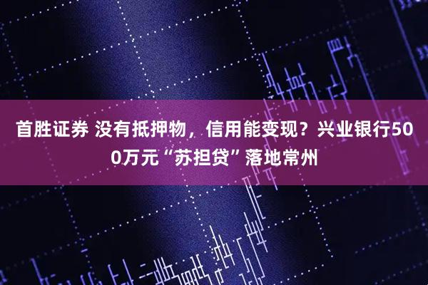 首胜证券 没有抵押物，信用能变现？兴业银行500万元“苏担贷”落地常州